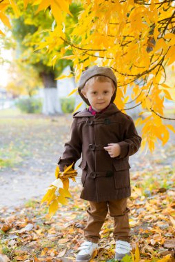 Sonbahar parkında sarı yapraklarla oynayan sonbahar montu ve şapkalı şirin çocuk. Sonbahar havası