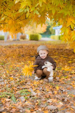 Sonbahar parkında sarı yaprakları ve oyuncak ayısıyla oynayan sonbahar montu ve şapkalı şirin bir çocuk. Sonbahar havası