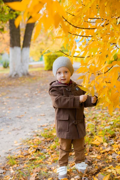 Der Kleine Süße Junge Herbstmantel Und Mütze Spielt Einem Herbstpark — Stockfoto