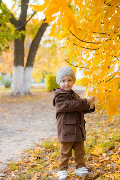 Little Cute Boy Autumn Coat Cap Plays Autumn Park Yellow — Stock Photo, Image