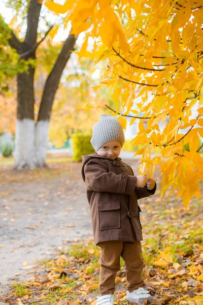 Der Kleine Süße Junge Herbstmantel Und Mütze Spielt Einem Herbstpark — Stockfoto