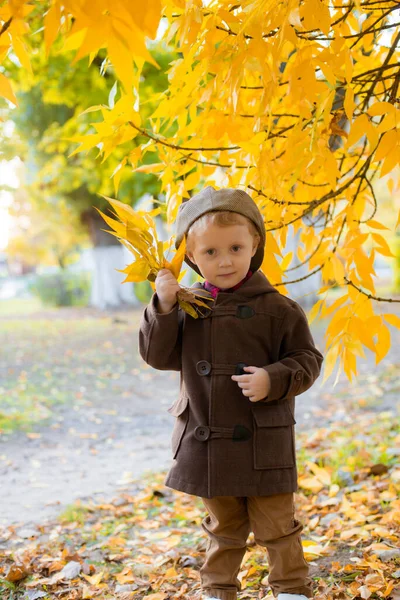 秋のコートを着た可愛い男の子と 黄色の葉を持つ秋の公園で遊ぶキャップ 秋の気分 — ストック写真