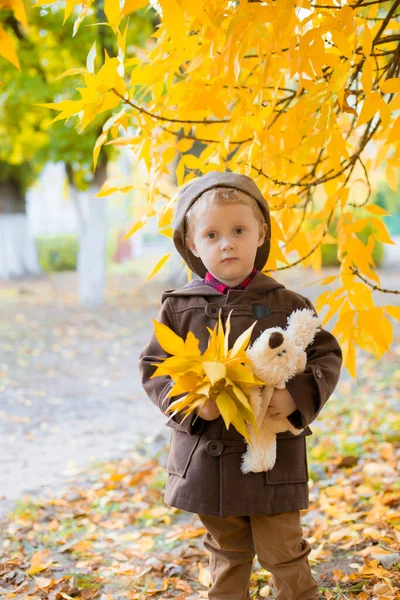 Little Cute Boy Autumn Coat Cap Plays Autumn Park Yellow — Stock Photo, Image