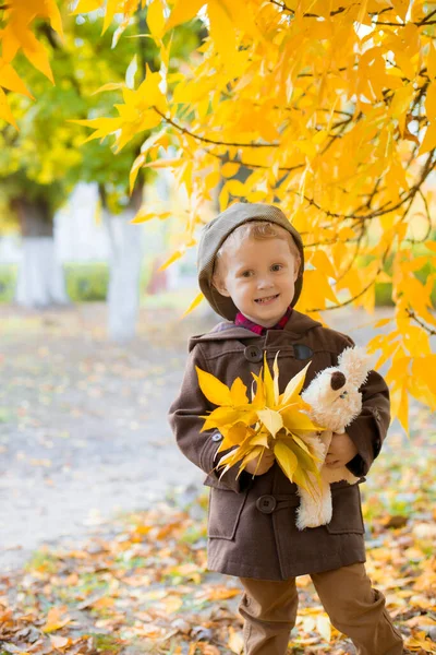 Little Cute Boy Autumn Coat Cap Plays Autumn Park Yellow — Stock Photo, Image