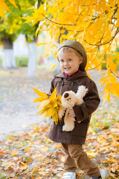 秋のコートにかわいい男の子とキャップは黄色の葉とおもちゃのテディベアを持つ秋の公園で再生されます 秋の気分 — ストック写真
