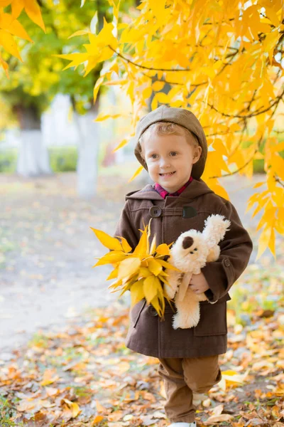 穿着秋衣头戴帽子的可爱小男孩在秋天的公园里玩耍 公园里有黄叶和玩具玩具玩具玩具熊 秋天的心情 — 图库照片