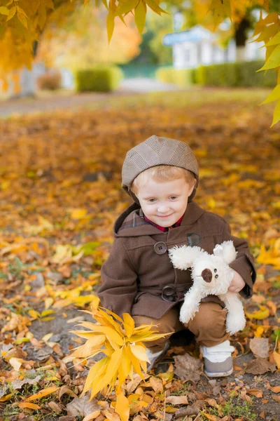 Ragazzino Carino Cappotto Autunnale Cappello Gioca Parco Autunnale Con Foglie — Foto Stock