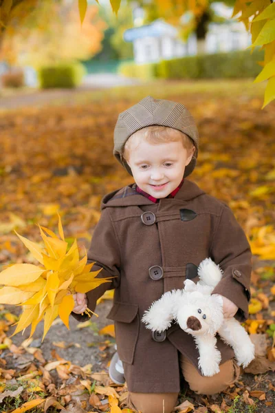 Little Cute Boy Autumn Coat Cap Plays Autumn Park Yellow — Stock Photo, Image