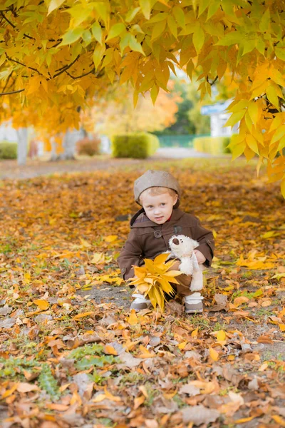 Маленький Милий Хлопчик Осінньому Пальто Кепка Грає Осінньому Парку Жовтим — стокове фото