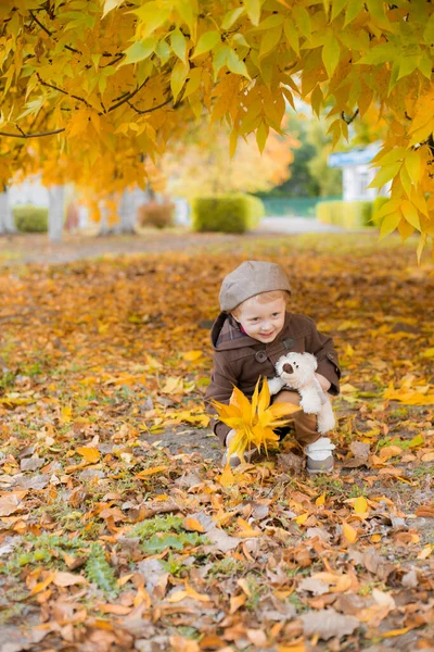 Der Kleine Süße Junge Herbstmantel Und Mütze Spielt Einem Herbstlichen — Stockfoto