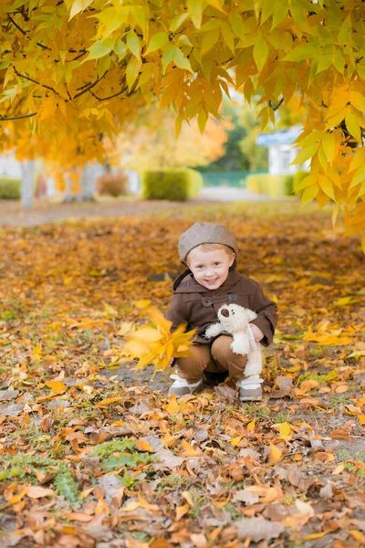 코트를 모자를 귀여운 소년이 나뭇잎과 장난감 장난감 공원에서 가을의 — 스톡 사진