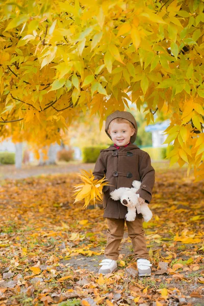 Little Cute Boy Autumn Coat Cap Plays Autumn Park Yellow — Stock Photo, Image