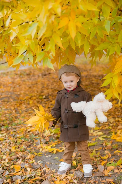 Der Kleine Süße Junge Herbstmantel Und Mütze Spielt Einem Herbstlichen — Stockfoto