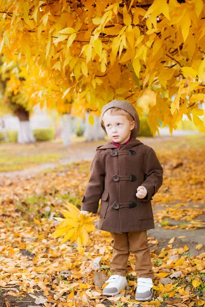 Niño Lindo Con Abrigo Otoño Gorra Juega Parque Otoño Con —  Fotos de Stock