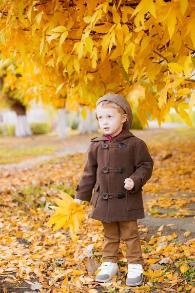 Niño Lindo Con Abrigo Otoño Gorra Juega Parque Otoño Con —  Fotos de Stock