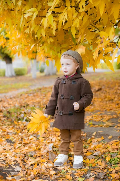 Sonbahar Parkında Sarı Yapraklarla Oynayan Sonbahar Montu Şapkalı Şirin Çocuk — Stok fotoğraf