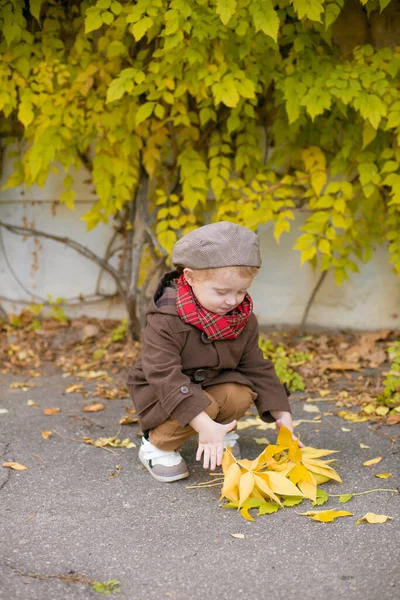 Der Kleine Süße Junge Herbstmantel Und Mütze Spielt Einem Herbstpark — Stockfoto