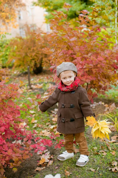 Der Kleine Süße Junge Herbstmantel Und Mütze Spielt Einem Herbstpark — Stockfoto