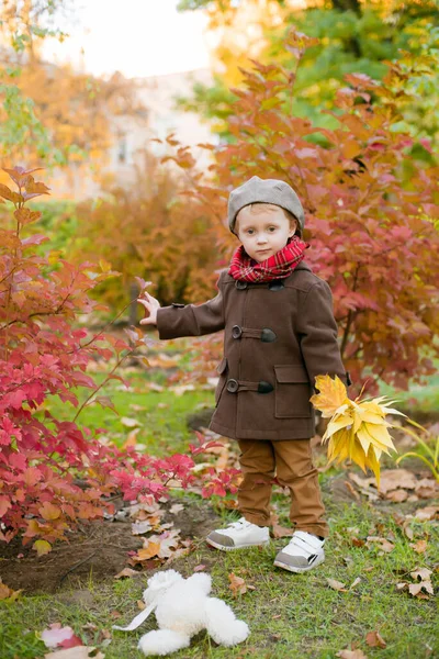 Little Cute Boy Autumn Coat Cap Plays Autumn Park Yellow — Stock Photo, Image