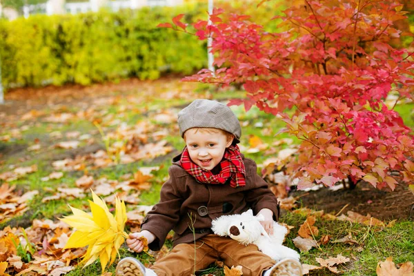 秋のコートにかわいい男の子とキャップは黄色の葉とおもちゃのテディベアを持つ秋の公園で再生されます 秋の気分 — ストック写真
