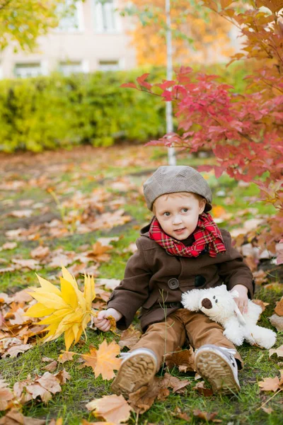 Little Cute Boy Autumn Coat Cap Plays Autumn Park Yellow — Stock Photo, Image