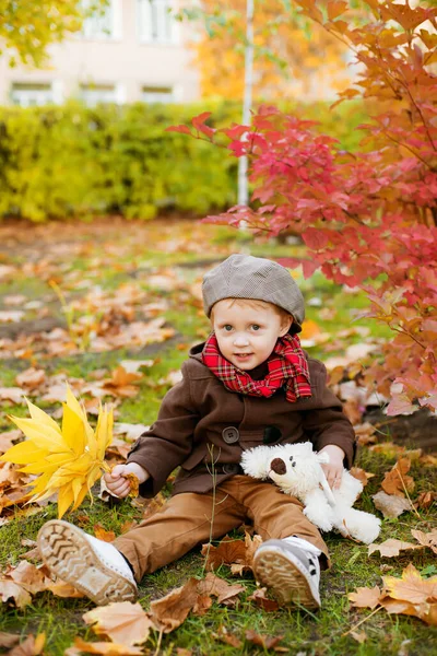 Kleine Schattige Jongen Een Herfstjas Pet Speelt Een Herfstpark Met — Stockfoto