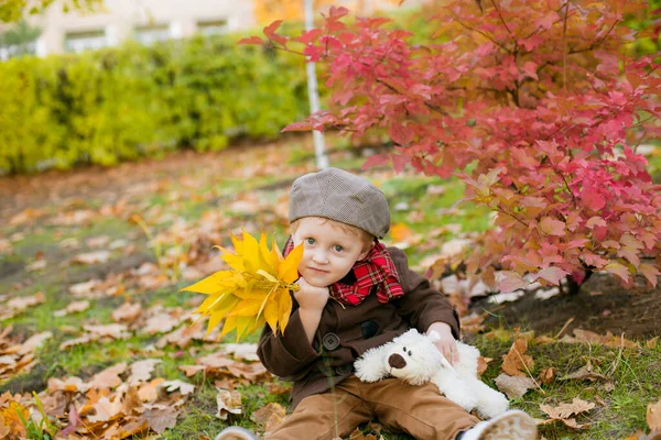 Little Cute Boy Autumn Coat Cap Plays Autumn Park Yellow — Stock Photo, Image