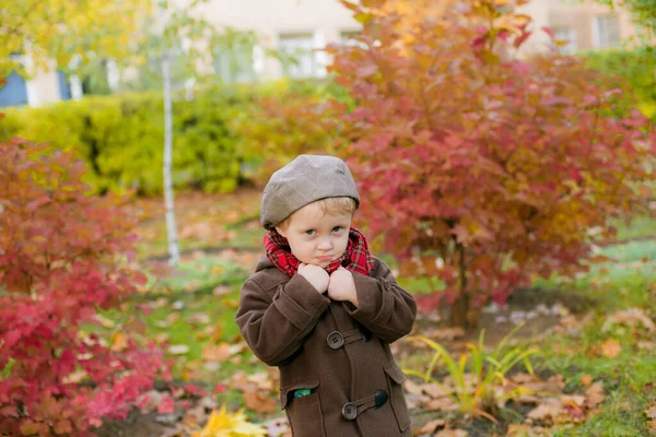 Little Cute Boy Autumn Coat Cap Plays Autumn Park Yellow — Stock Photo, Image