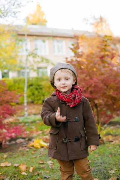 Little Cute Boy Autumn Coat Cap Plays Autumn Park Yellow — Stock Photo, Image