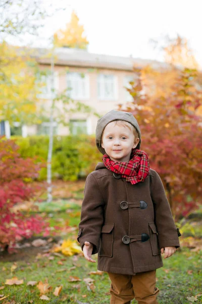Malý Roztomilý Chlapec Podzimním Kabátě Čepici Hraje Podzimním Parku Žlutými — Stock fotografie
