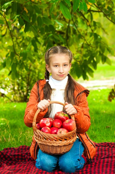 Маленька дівчинка з яблуками в парку — стокове фото