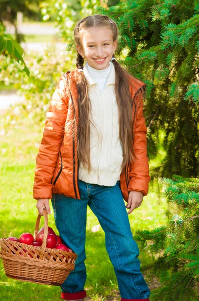 Little girl with apples in  park — Stock Photo, Image
