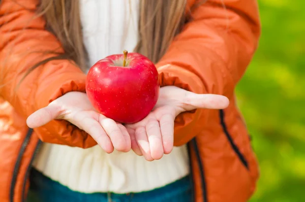 La manzana roja en las manos de los niños en el parque —  Fotos de Stock