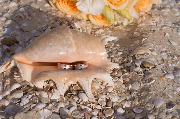 Anéis de casamento em uma concha na praia — Fotografia de Stock