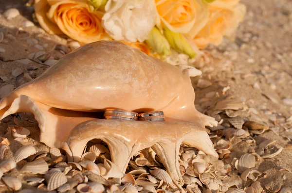 Anéis de casamento em uma concha na praia — Fotografia de Stock