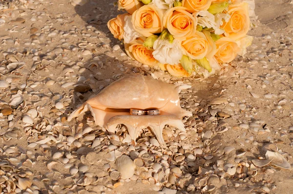 Свадебные кольца в раковине на пляже — стоковое фото