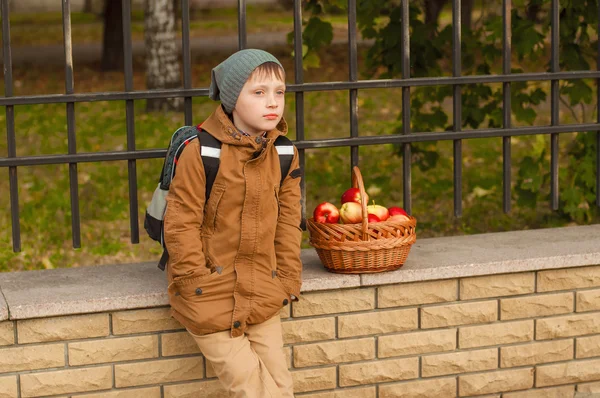 Boy with a school backpack with a basket of apples — Stock Photo, Image