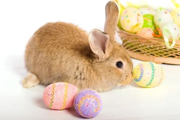 Osterhase mit Korb und Eiern — Stockfoto