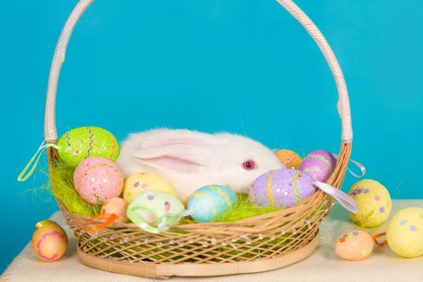 Weißer Osterhase mit Korb und Eiern — Stockfoto