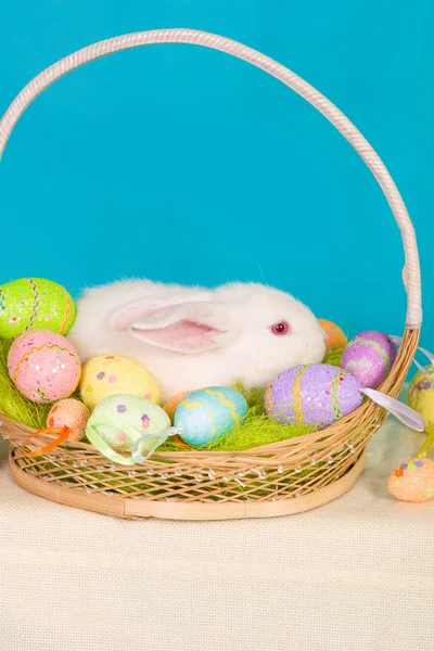 Weißer Osterhase mit Korb und Eiern — Stockfoto