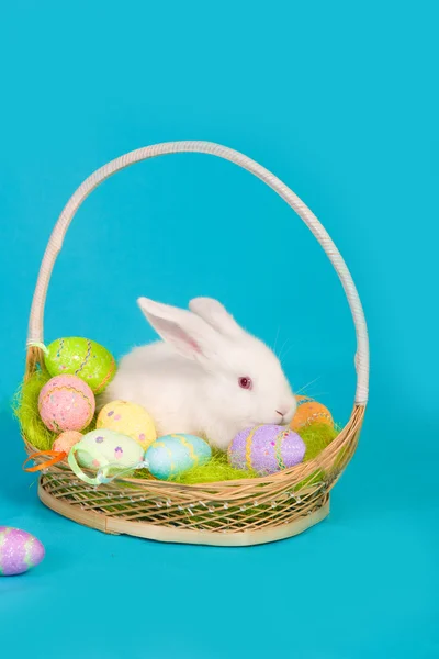 Weißer Osterhase mit Korb und Eiern — Stockfoto