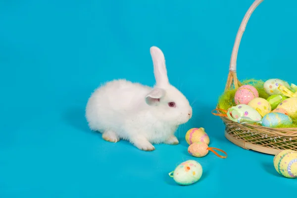 Coelho branco da Páscoa com cesta e ovos — Fotografia de Stock