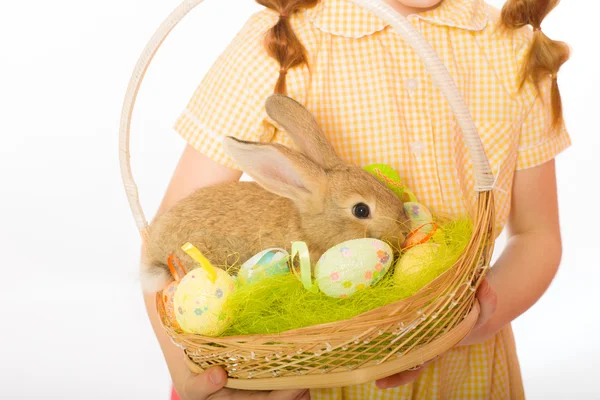 Kanin i korg påskägg — Stockfoto