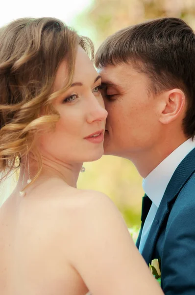 The bride and groom in summer park — Stock Photo, Image