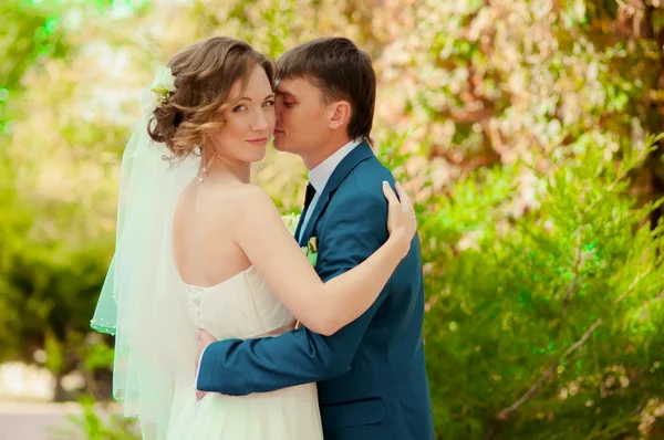 The bride and groom in summer park — Stock Photo, Image