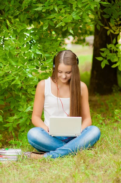 Genç kız ile laptop çimenlerin üzerinde çalışır. — Stok fotoğraf