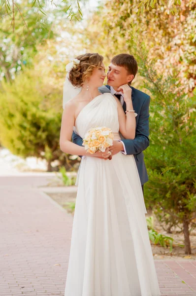 The bride and groom in summer park — Stock Photo, Image