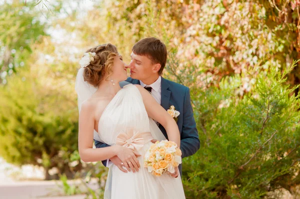 The bride and groom in summer park — Stock Photo, Image