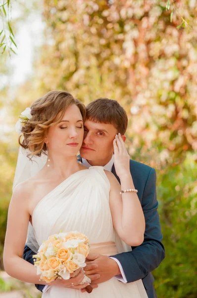 The bride and groom in summer park — Stock Photo, Image