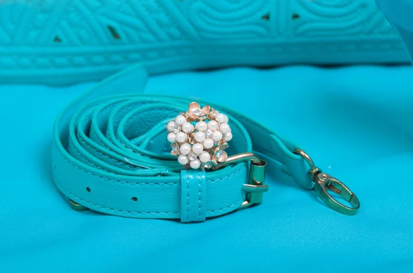 Krásný prsten pearl a kabelka — Stock fotografie